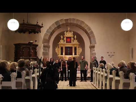 Video 1