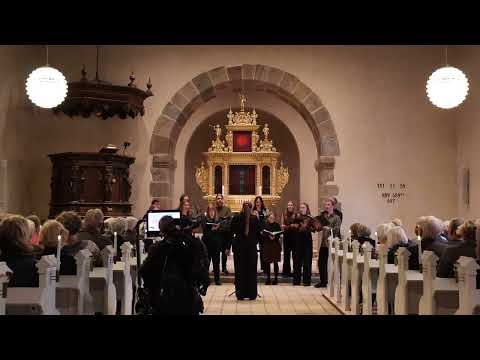 Video 2